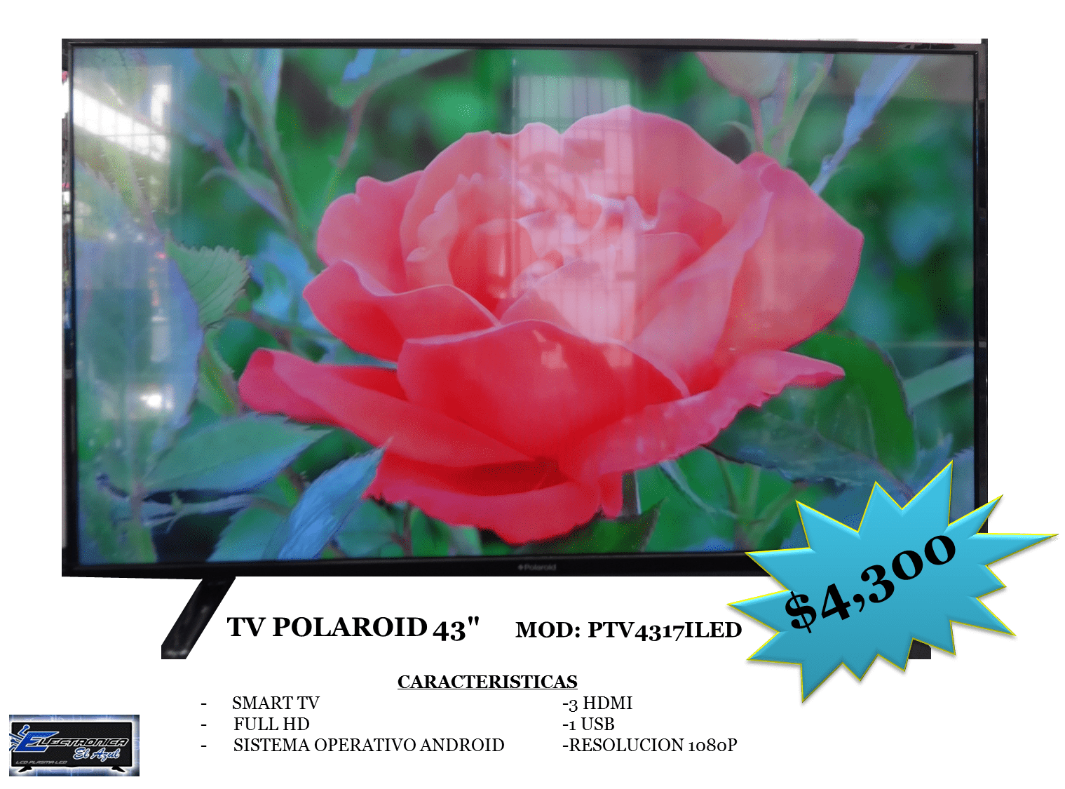 polaroid ptv2214led